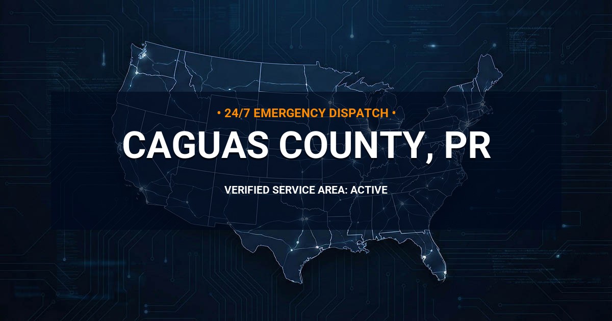 Emergency Plumbing Dispatch Map for Caguas County Plumbing Logistics