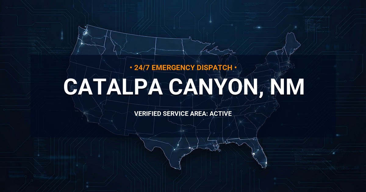 Emergency Plumbing Dispatch Map for Plumbing Services: Catalpa Canyon, NM