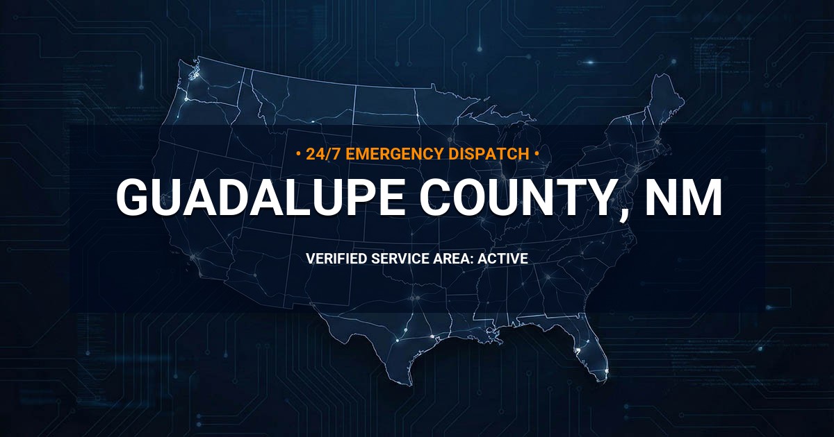Emergency Plumbing Dispatch Map for Guadalupe County Plumbing Logistics