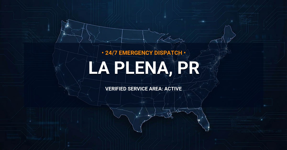 Emergency Plumbing Dispatch Map for Plumbing Services: La Plena, PR