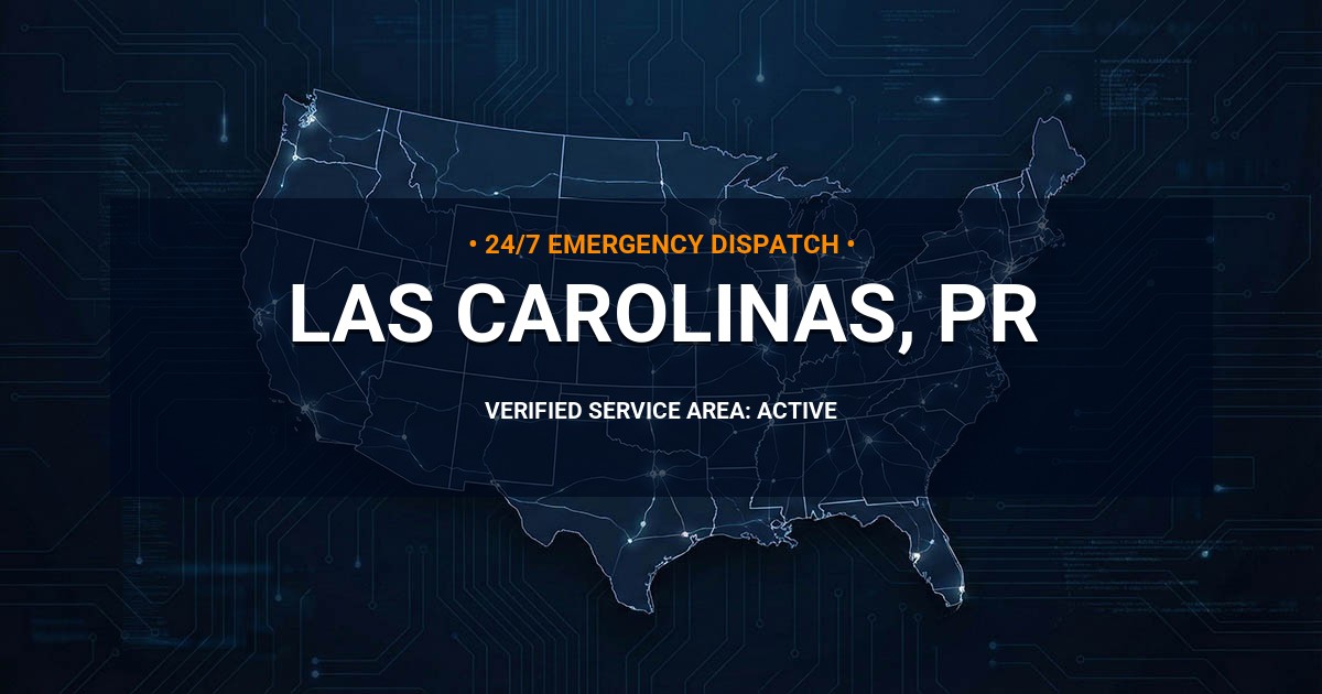 Emergency Plumbing Dispatch Map for Plumbing Services: Las Carolinas, PR