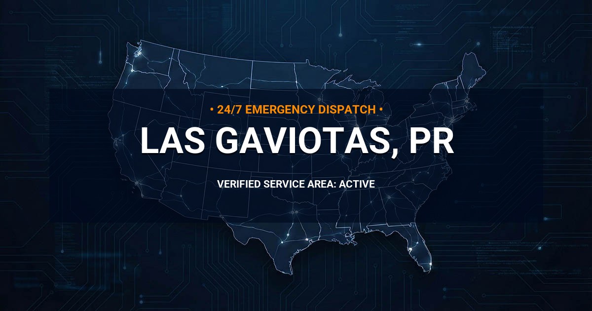 Emergency Plumbing Dispatch Map for Plumbing Services: Las Gaviotas, PR