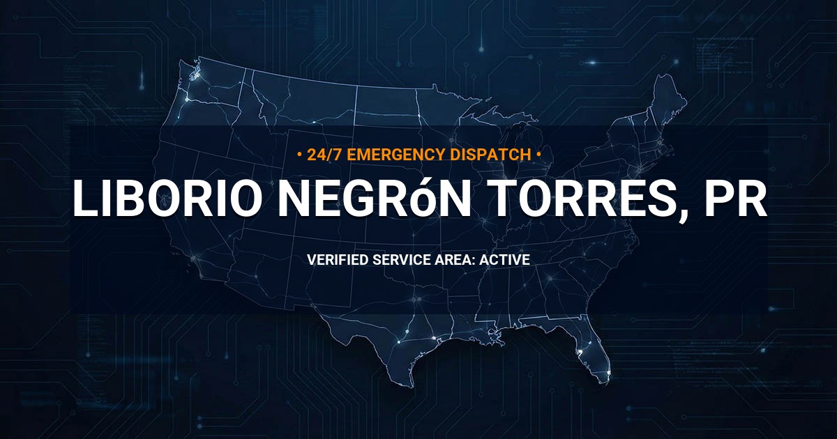 Emergency Plumbing Dispatch Map for Plumbing Services: Liborio Negrón Torres, PR