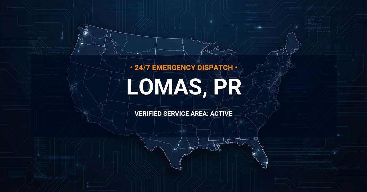 Emergency Plumbing Dispatch Map for Plumbing Services: Lomas, PR