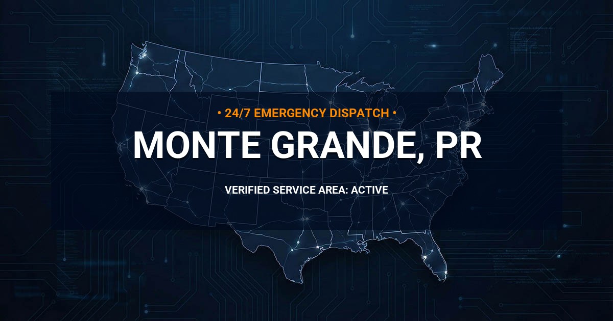 Emergency Plumbing Dispatch Map for Plumbing Services: Monte Grande, PR