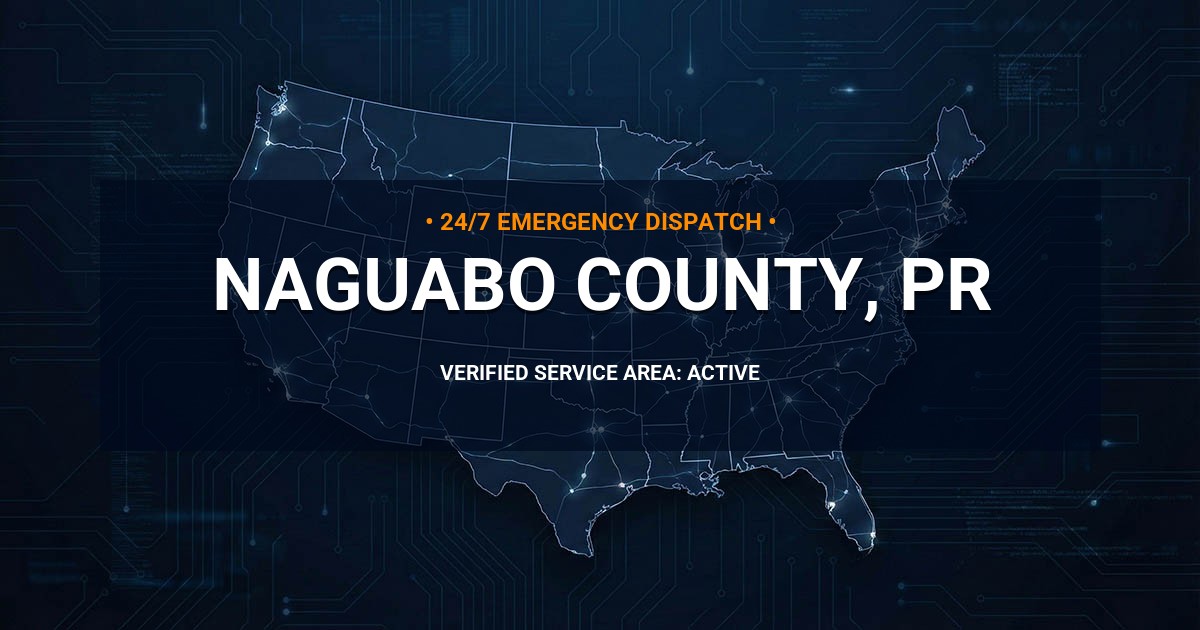 Emergency Plumbing Dispatch Map for Naguabo County Plumbing Logistics