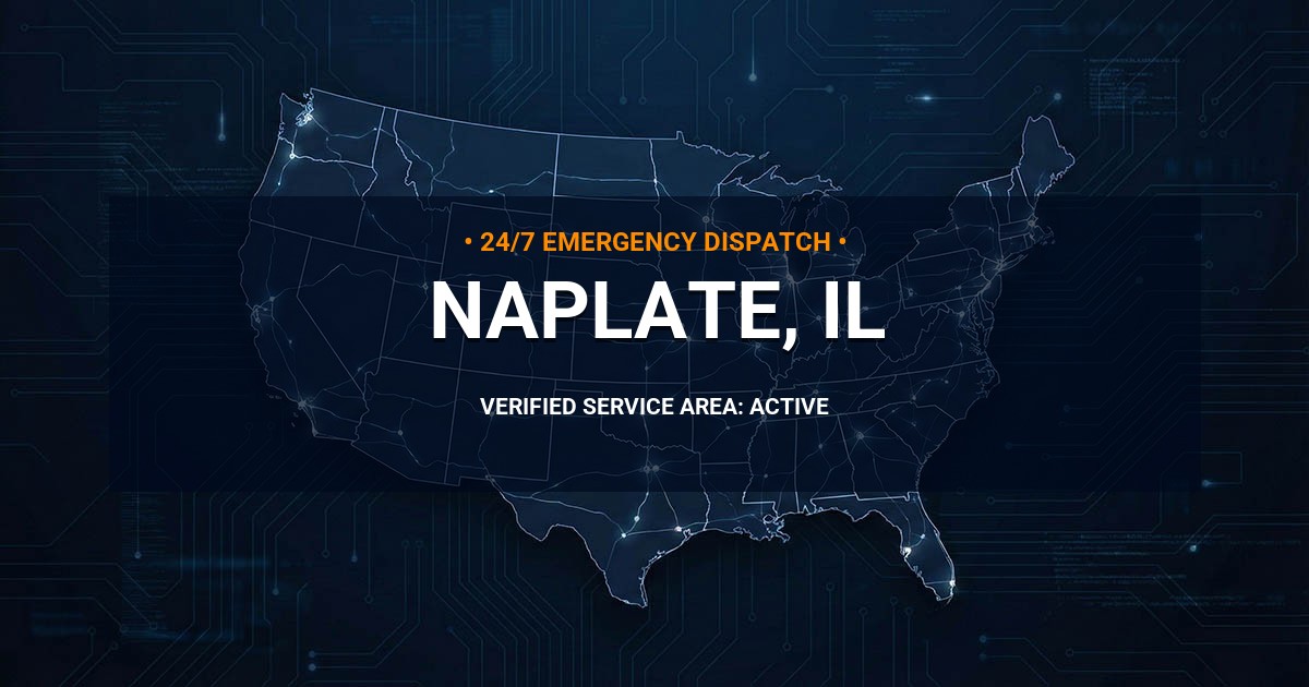Emergency Plumbing Dispatch Map for Plumbing Services: Naplate, IL