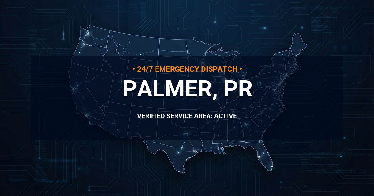 Emergency Plumbing Dispatch Map for Plumbing Services: Palmer, PR