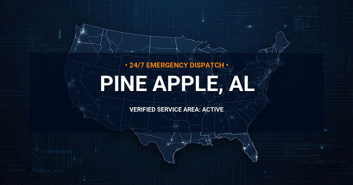 Emergency Plumbing Dispatch Map for Plumbing Services: Pine Apple, AL