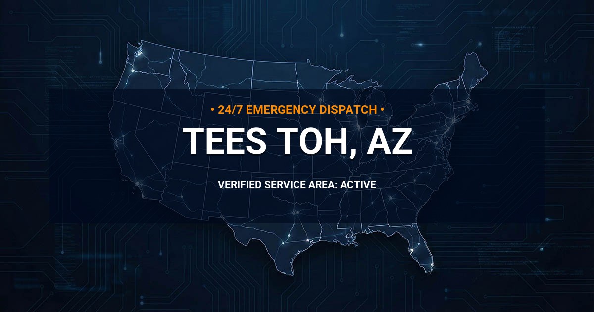 Emergency Plumbing Dispatch Map for Plumbing Services: Tees Toh, AZ